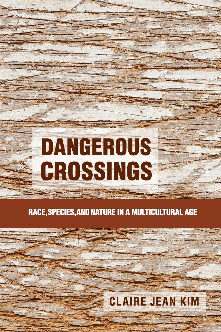 Cover: 9781107622937 | Dangerous Crossings | Claire Jean Kim | Taschenbuch | Paperback | 2017