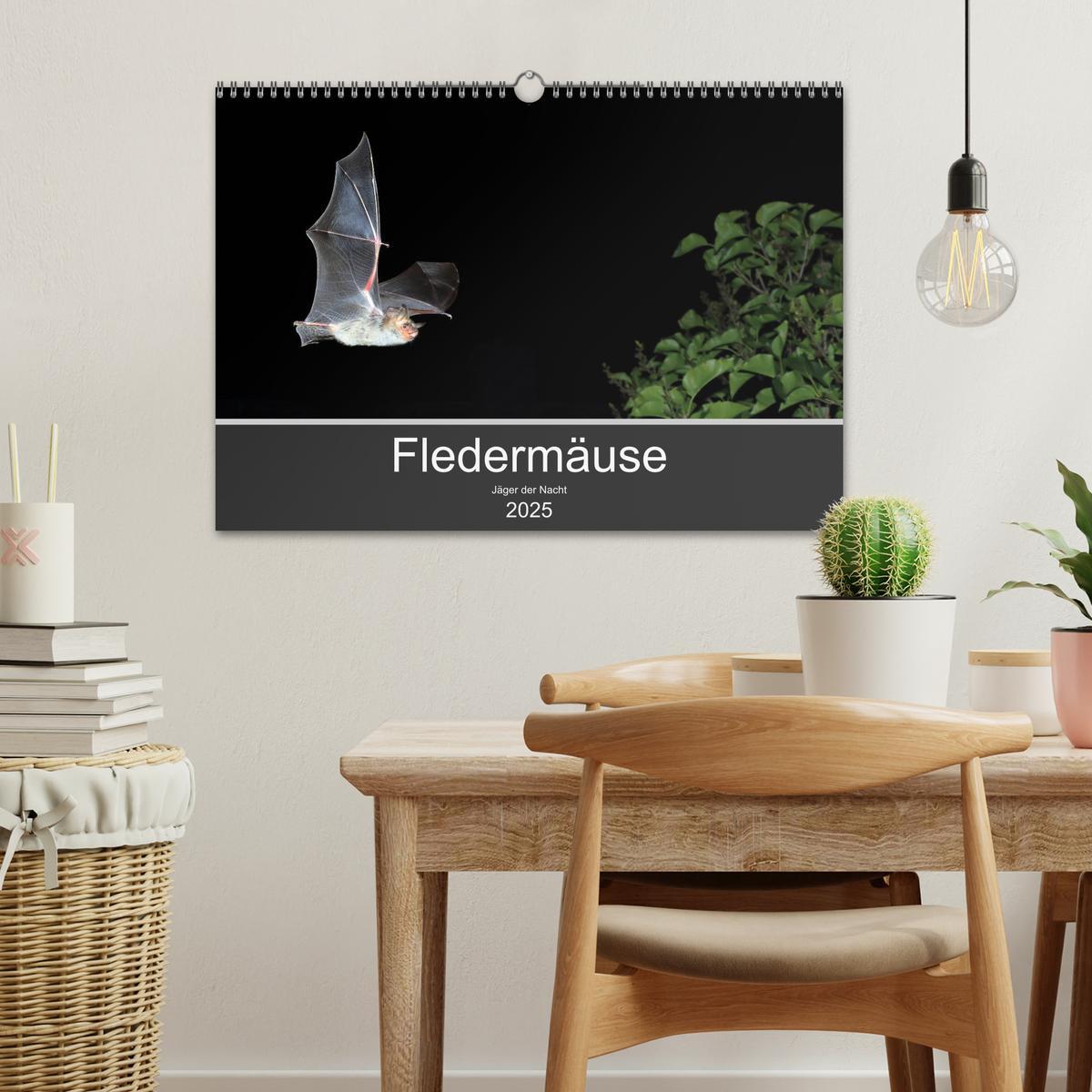 Bild: 9783435347421 | Fledermäuse - Jäger der Nacht (Wandkalender 2025 DIN A3 quer),...