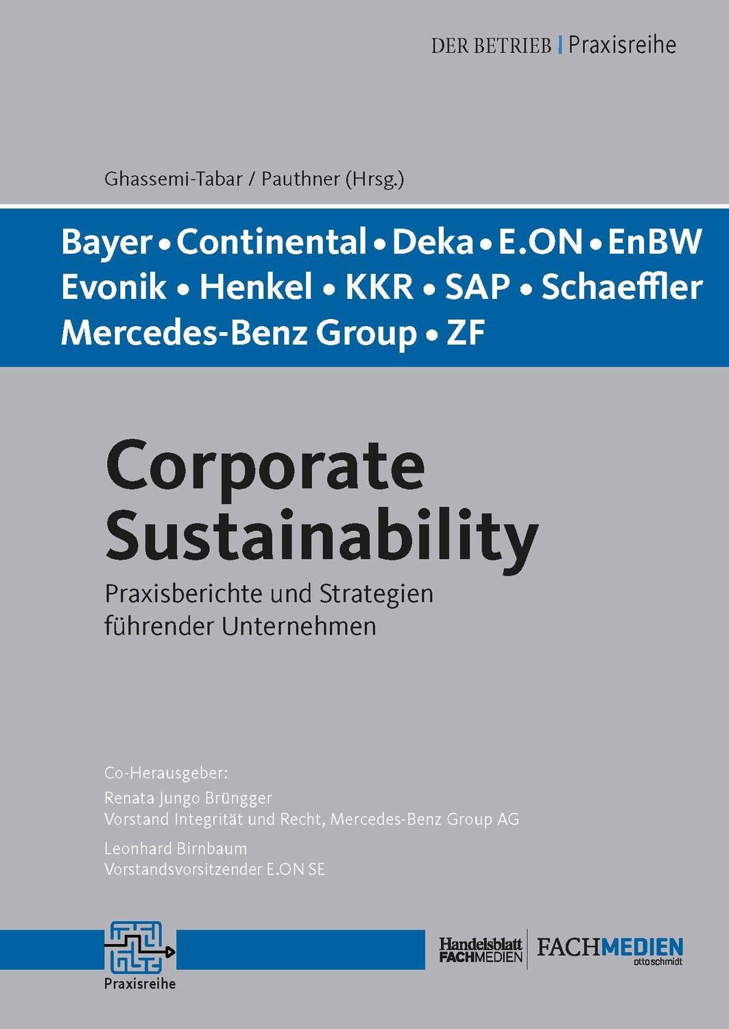 Cover: 9783947711871 | Corporate Sustainability | Nima Ghassemi-Tabar (u. a.) | Taschenbuch