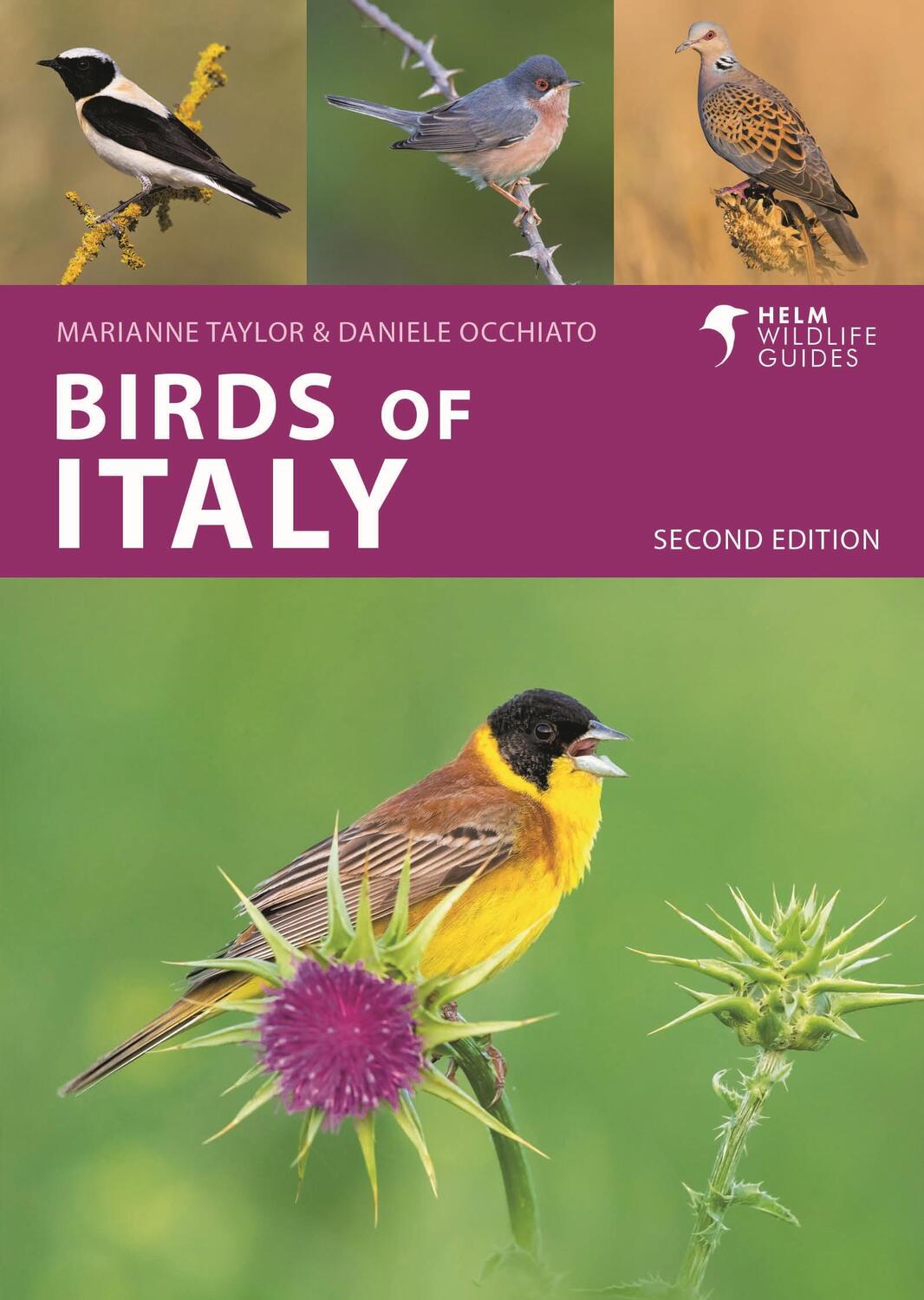Autor: 9781399410649 | Birds of Italy | Second Edition | Daniele Occhiato (u. a.) | Buch