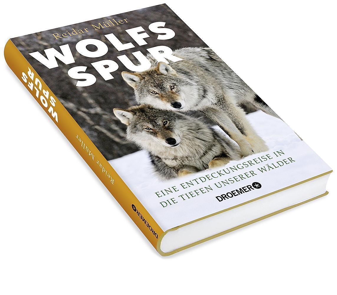 Bild: 9783426277966 | Wolfsspur | Eine Entdeckungsreise in die Tiefen unserer Wälder | Buch