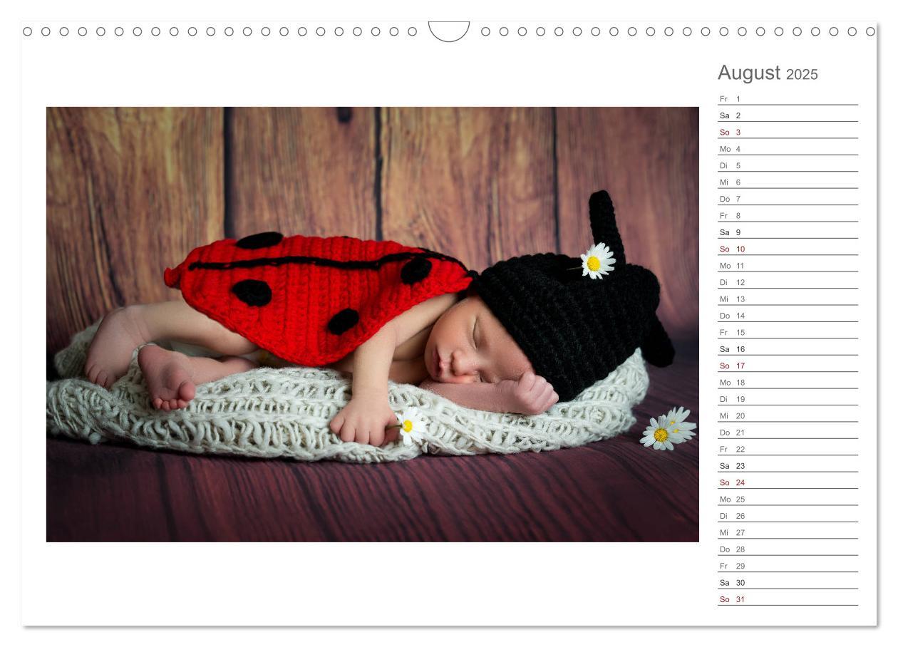 Bild: 9783435437924 | Aller Anfang ist klein - Babykalender mit Noah (Wandkalender 2025...