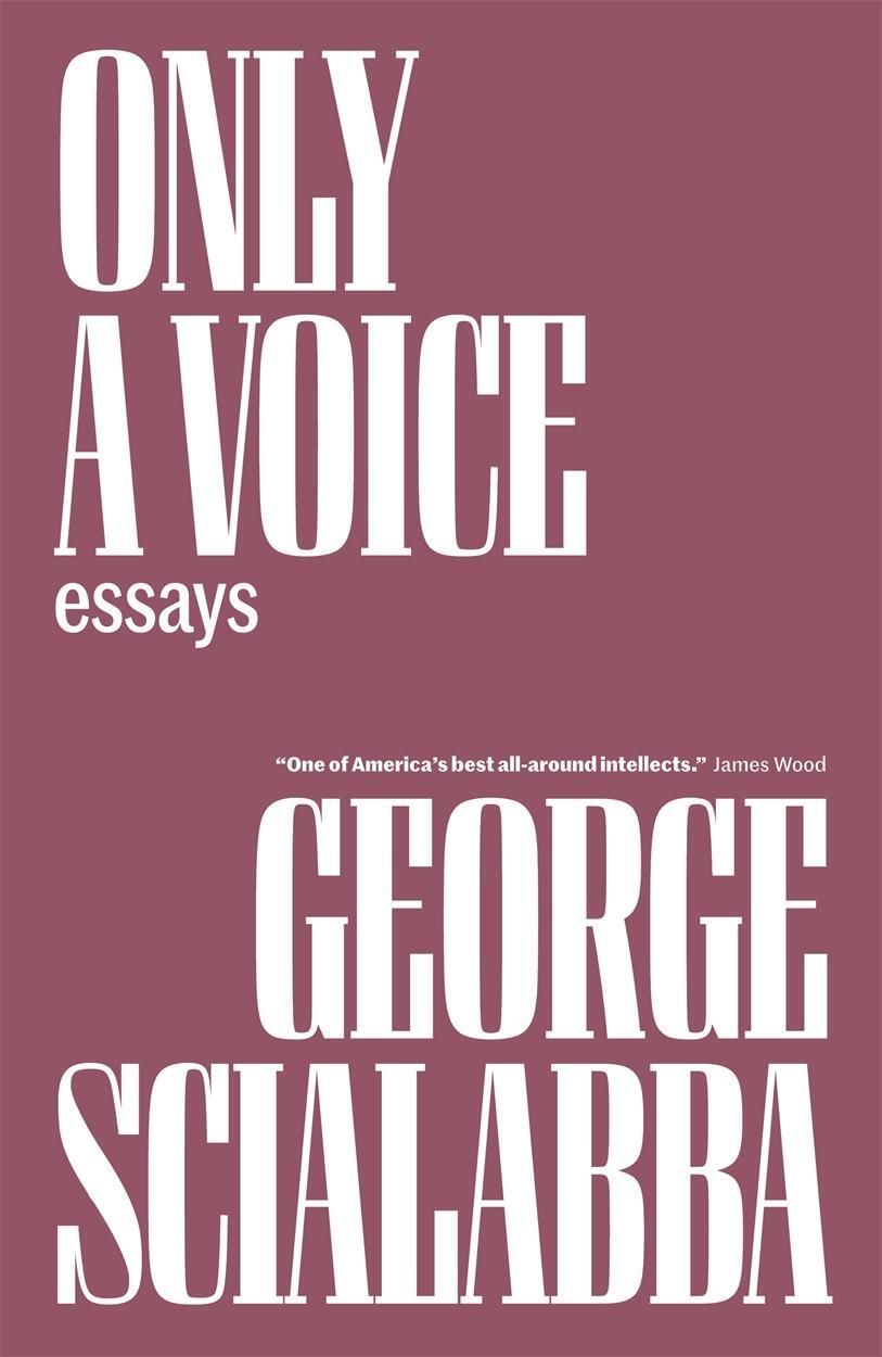 Cover: 9781804292006 | Only a Voice: Essays | George Scialabba | Buch | Englisch | 2023