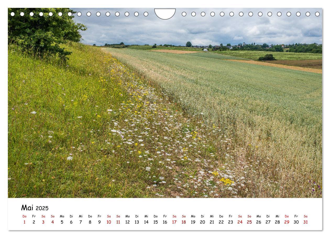 Bild: 9783435452422 | Die Eifel - Orte und Landschaften (Wandkalender 2025 DIN A4 quer),...