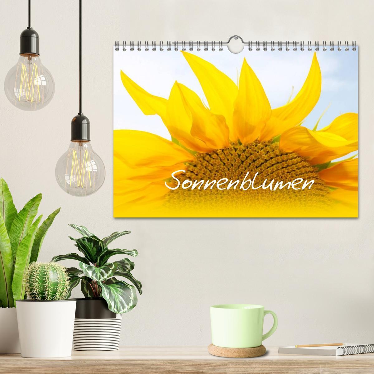 Bild: 9783435800209 | Sonnenblumen - die Blumen der Lebensfreude (Wandkalender 2025 DIN...