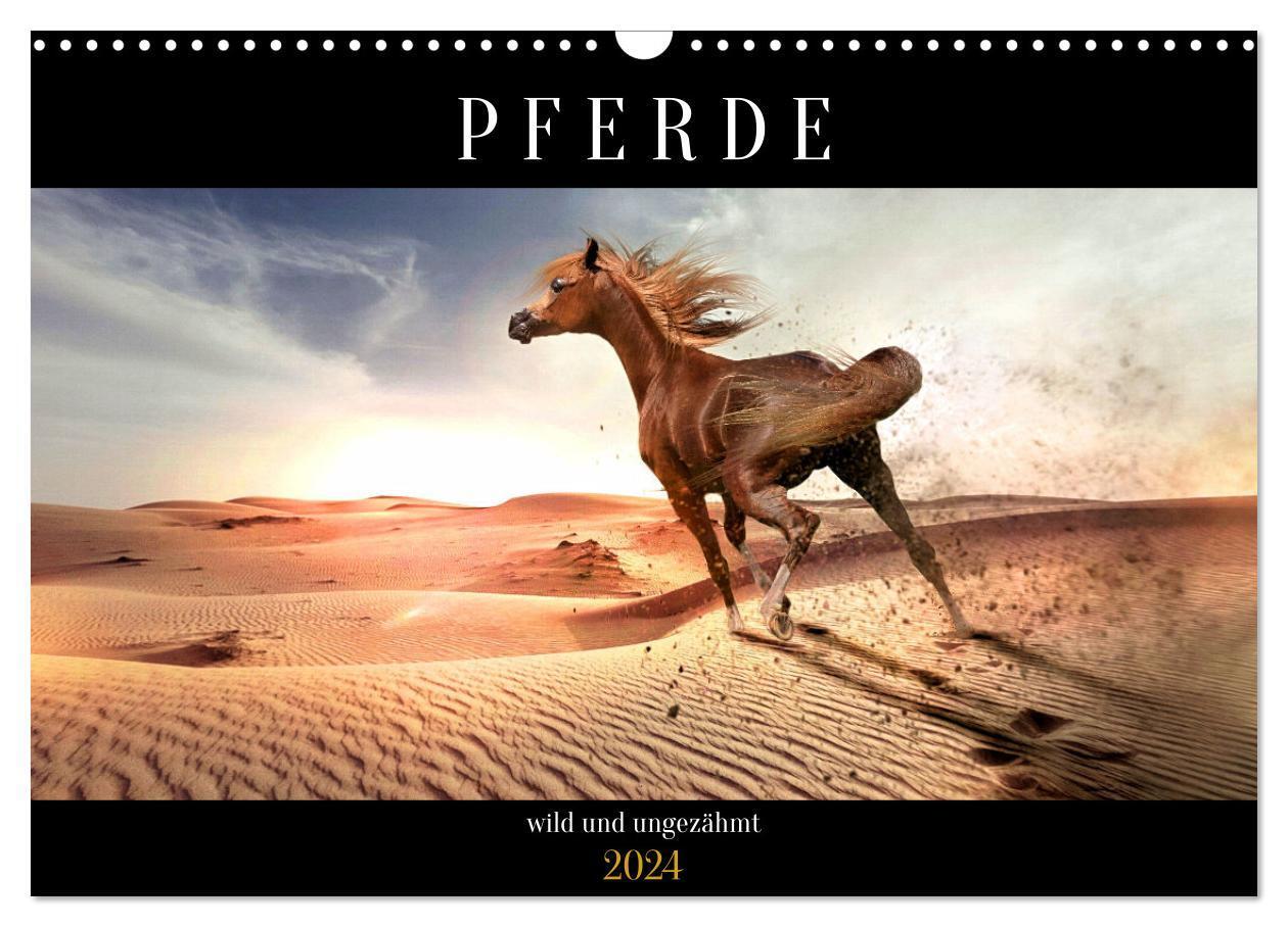 Cover: 9783675906747 | Pferde - wild und ungezähmt (Wandkalender 2024 DIN A3 quer),...