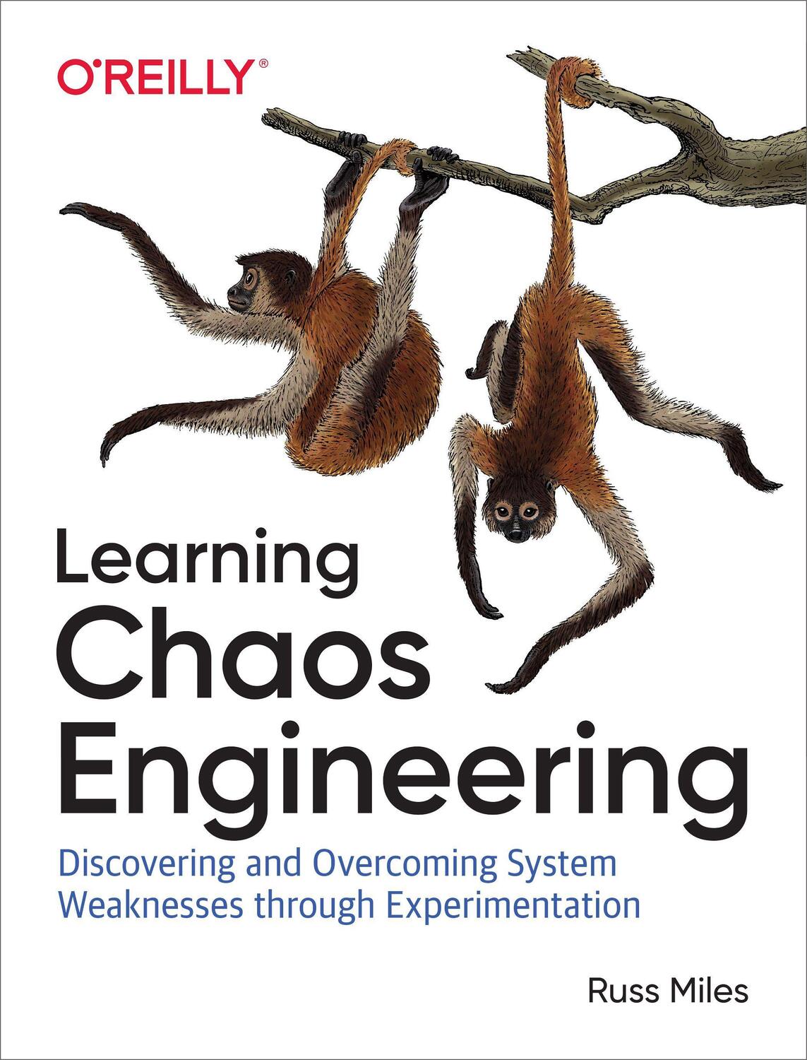 Cover: 9781492051008 | Learning Chaos Engineering | Russ Miles | Taschenbuch | Englisch