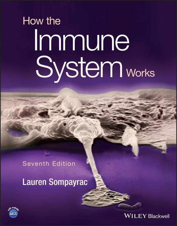 Cover: 9781119890683 | How the Immune System Works | Lauren M. Sompayrac | Taschenbuch | 2022