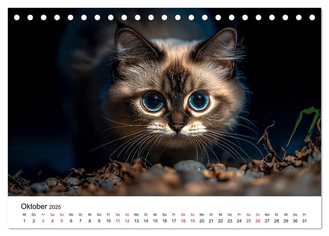 Bild: 9783457218334 | Katzenzauber - Samtpfoten im Jahreslauf (Tischkalender 2025 DIN A5...