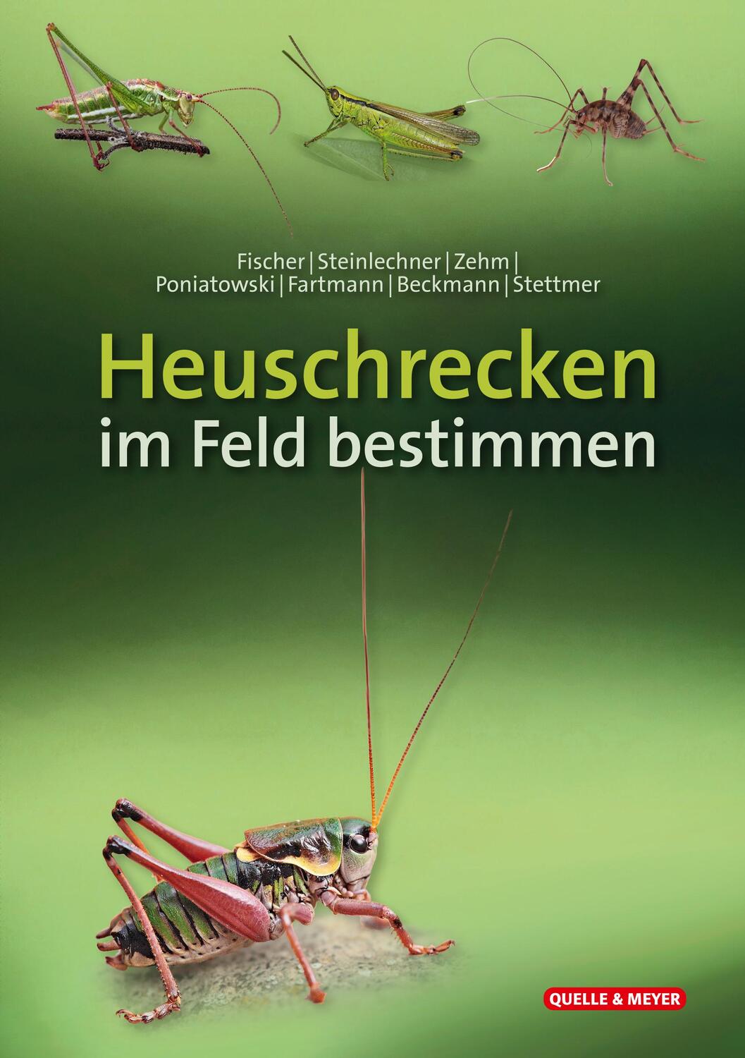 Cover: 9783494019284 | Heuschrecken im Feld bestimmen | Jürgen Fischer (u. a.) | Stück | 2023