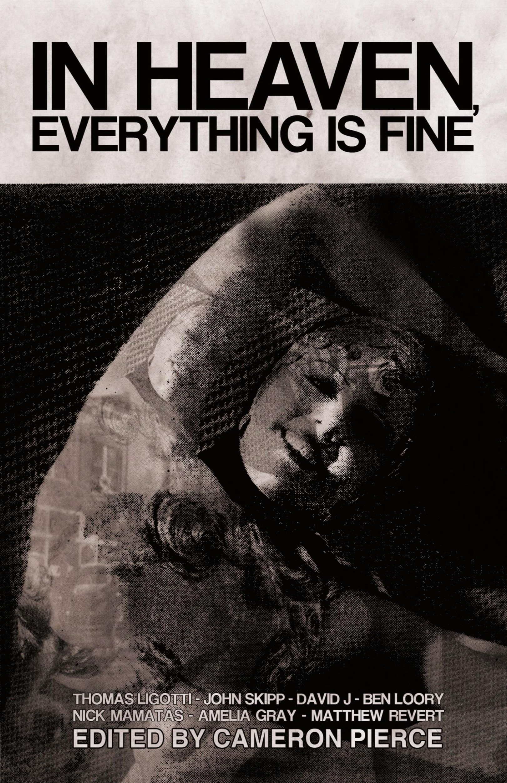 Cover: 9781621050896 | In Heaven, Everything Is Fine | Fiction Inspired by David Lynch | Buch