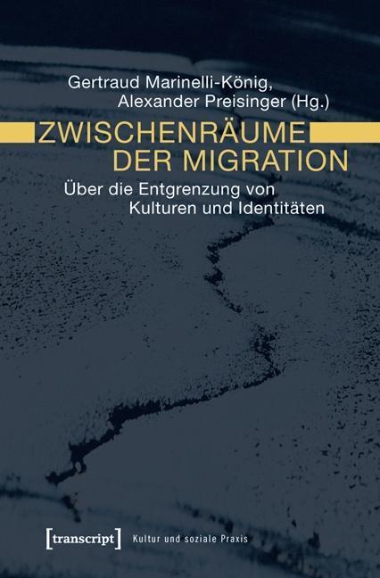 Cover: 9783837619331 | Zwischenräume der Migration | Taschenbuch | 300 S. | Deutsch | 2011