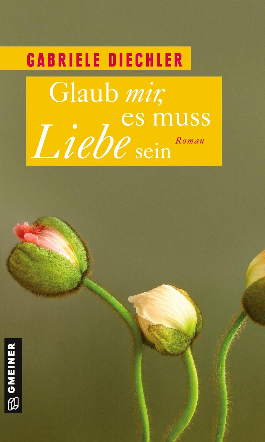 Cover: 9783839211076 | Glaub mir, es muss Liebe sein | Roman | Gabriele Diechler | Buch