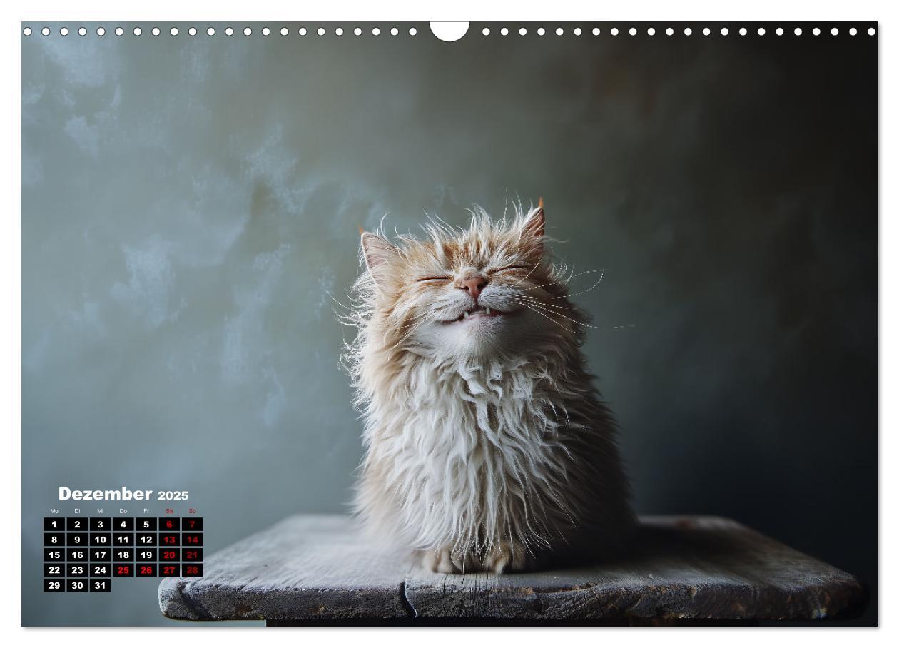 Bild: 9783457202005 | Auch Katzen lachen gern (Wandkalender 2025 DIN A3 quer), CALVENDO...