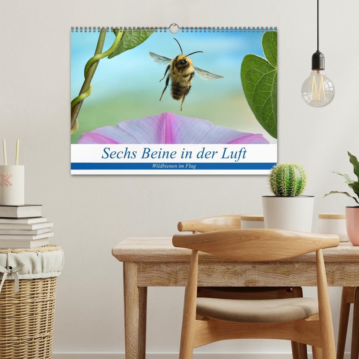 Bild: 9783435220557 | Sechs Beine in der Luft - Wildbienen im Flug (Wandkalender 2025 DIN...