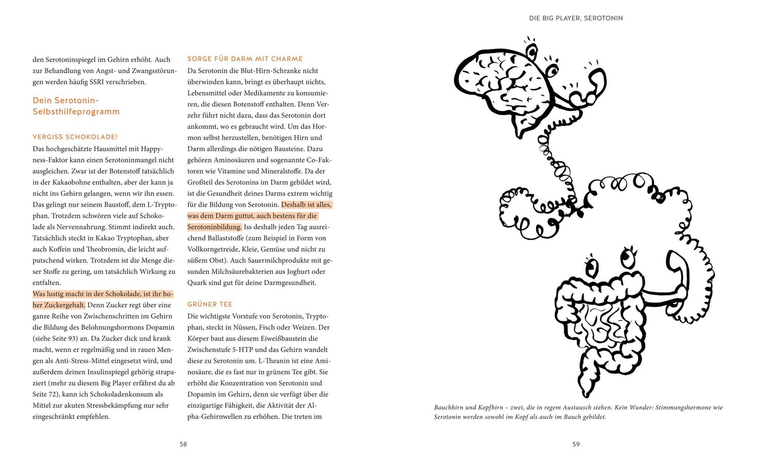 Bild: 9783833866876 | Meine Hormone - Bin ich ferngesteuert? | Johannes Wimmer | Taschenbuch