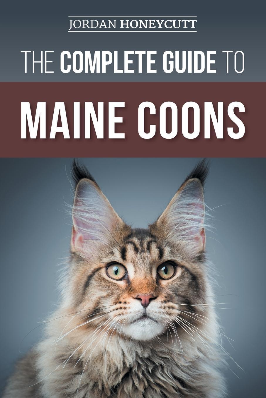 Cover: 9781954288508 | The Complete Guide to Maine Coons | Jordan Honeycutt | Taschenbuch