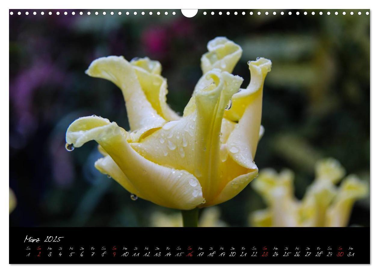 Bild: 9783435775767 | Butchart Gardens 2025 (Wandkalender 2025 DIN A3 quer), CALVENDO...