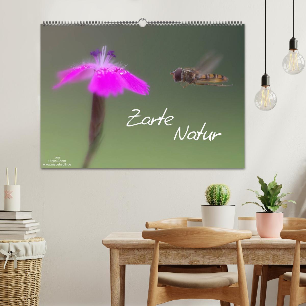 Bild: 9783435693931 | Zarte Natur 2025 (Wandkalender 2025 DIN A2 quer), CALVENDO...