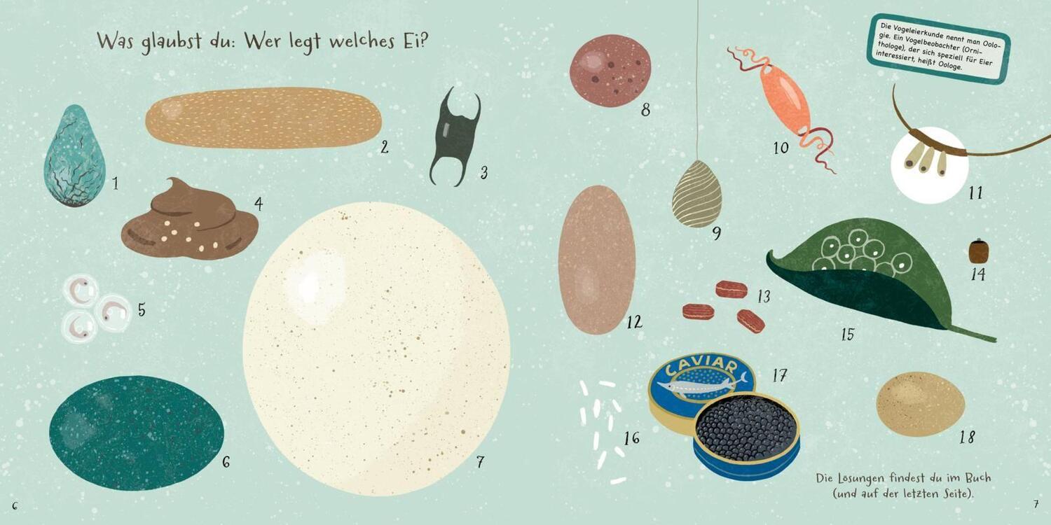 Bild: 9783848901685 | Hartgekochte Fakten über Eier | Lena Sjöberg | Buch | 48 S. | Deutsch