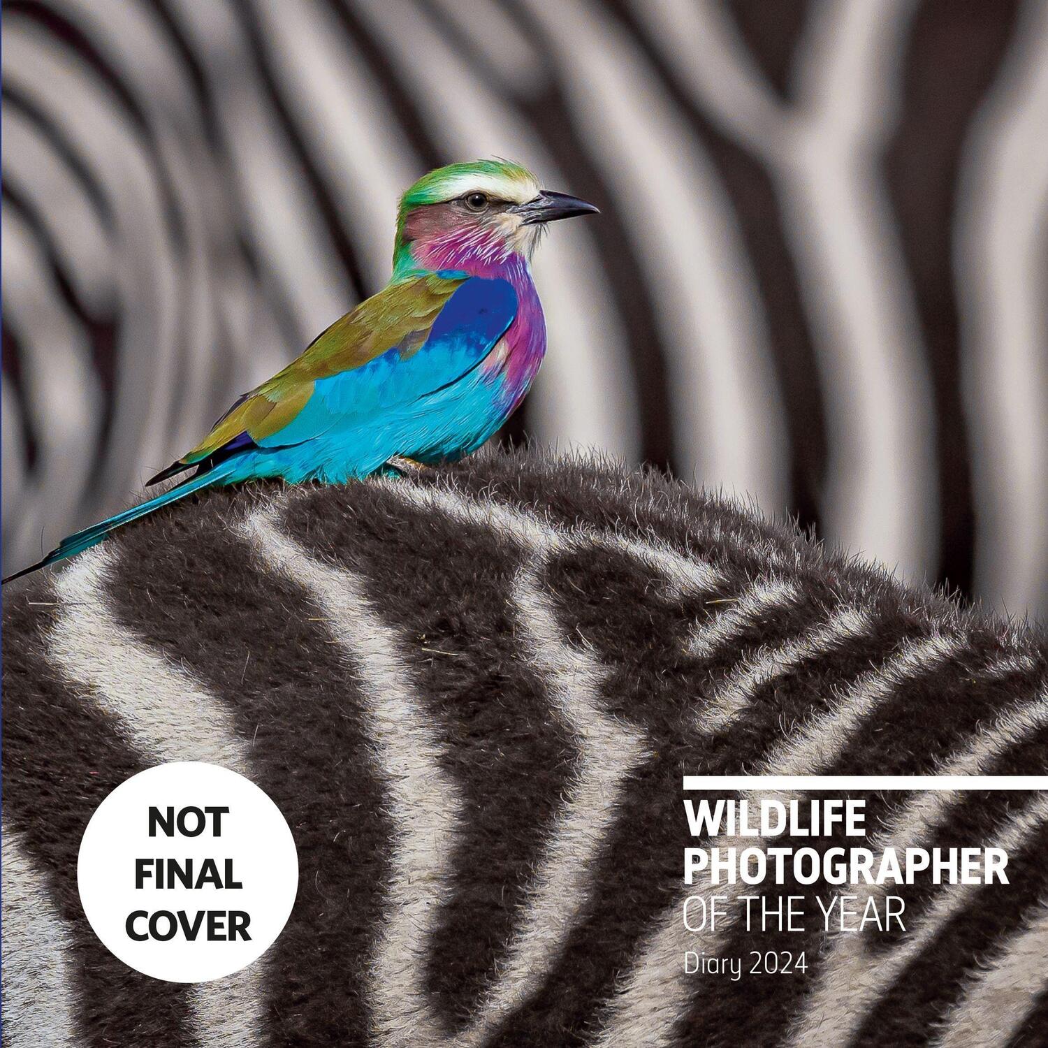 Cover: 9780565095413 | Wildlife Photographer of the Year Desk Diary 2024 | Buch | Englisch