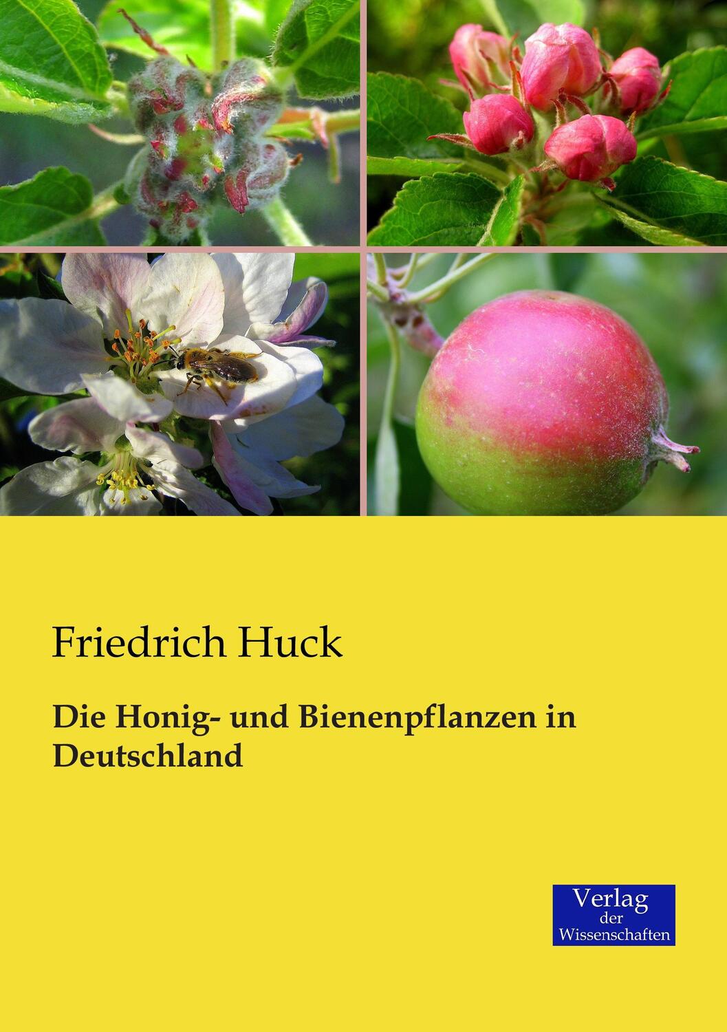 Cover: 9783957006042 | Die Honig- und Bienenpflanzen in Deutschland | Friedrich Huck | Buch