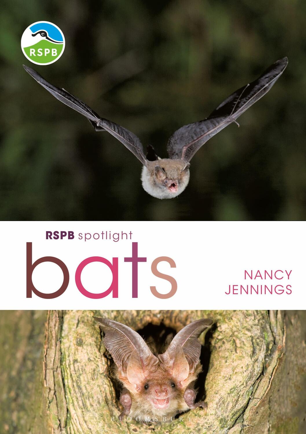 Cover: 9781472950055 | RSPB Spotlight Bats | Nancy Jennings | Taschenbuch | RSPB | Englisch