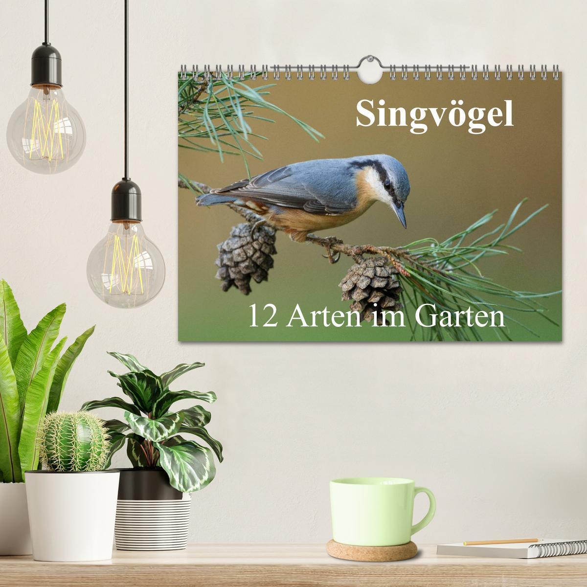 Bild: 9783435464838 | Singvögel - 12 Arten im Garten (Wandkalender 2025 DIN A4 quer),...