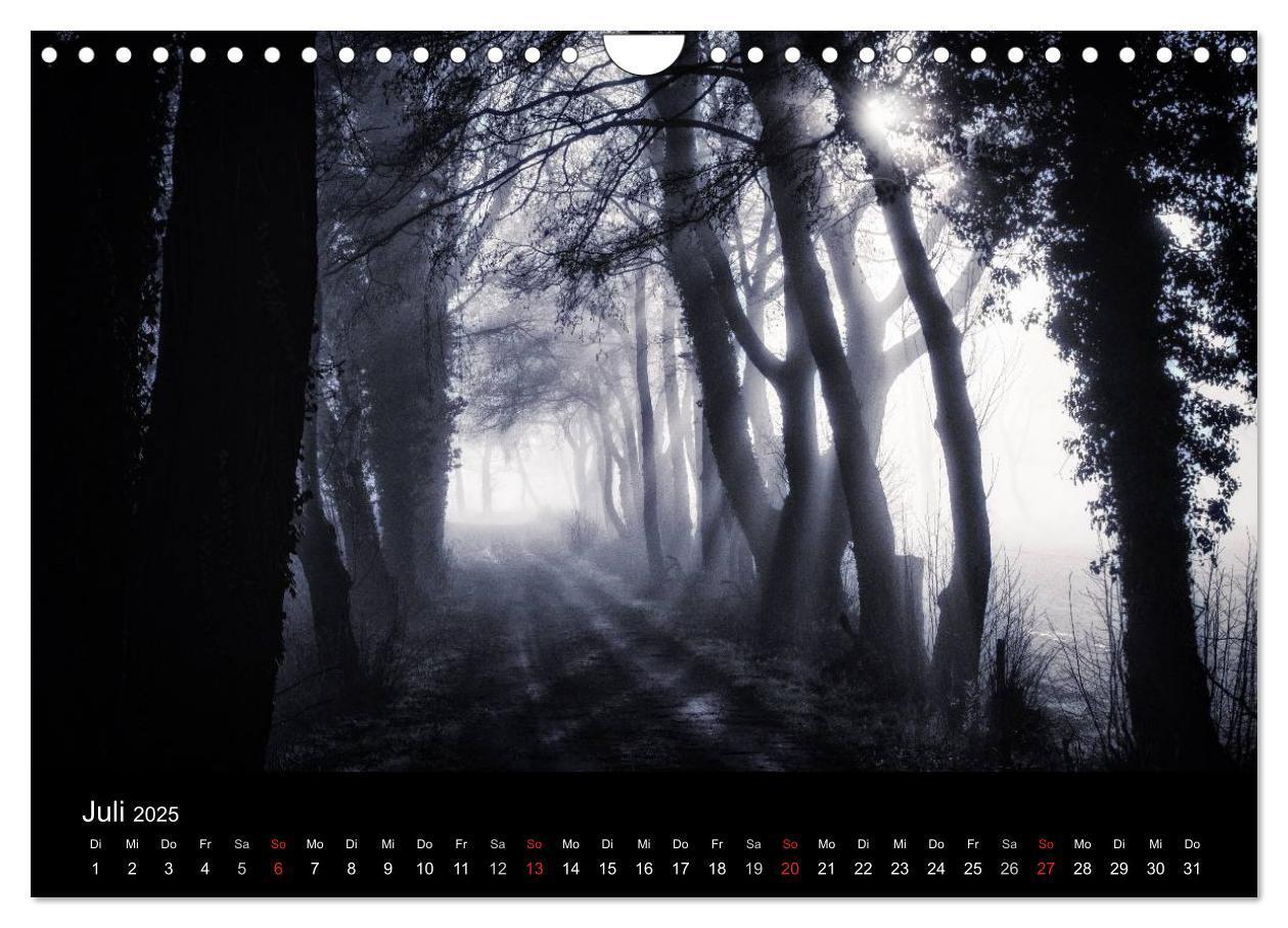 Bild: 9783435501502 | Mystische Wälder (Wandkalender 2025 DIN A4 quer), CALVENDO...