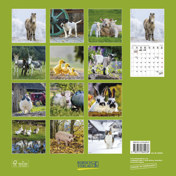 Bild: 9783731869238 | Tiere auf dem Bauernhof 2024 | Korsch Verlag | Kalender | 13 S. | 2024