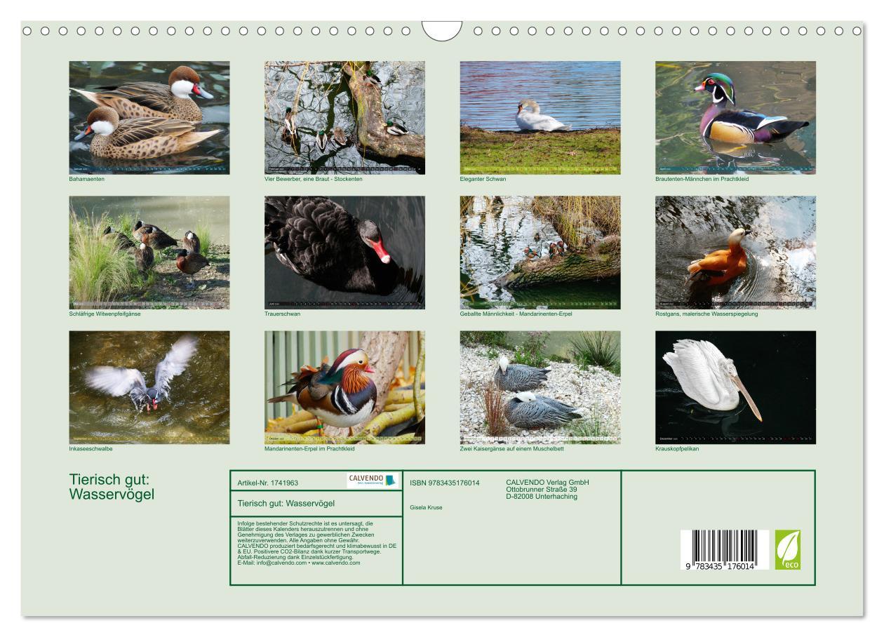 Bild: 9783435176014 | Tierisch gut: Wasservögel (Wandkalender 2025 DIN A3 quer), CALVENDO...