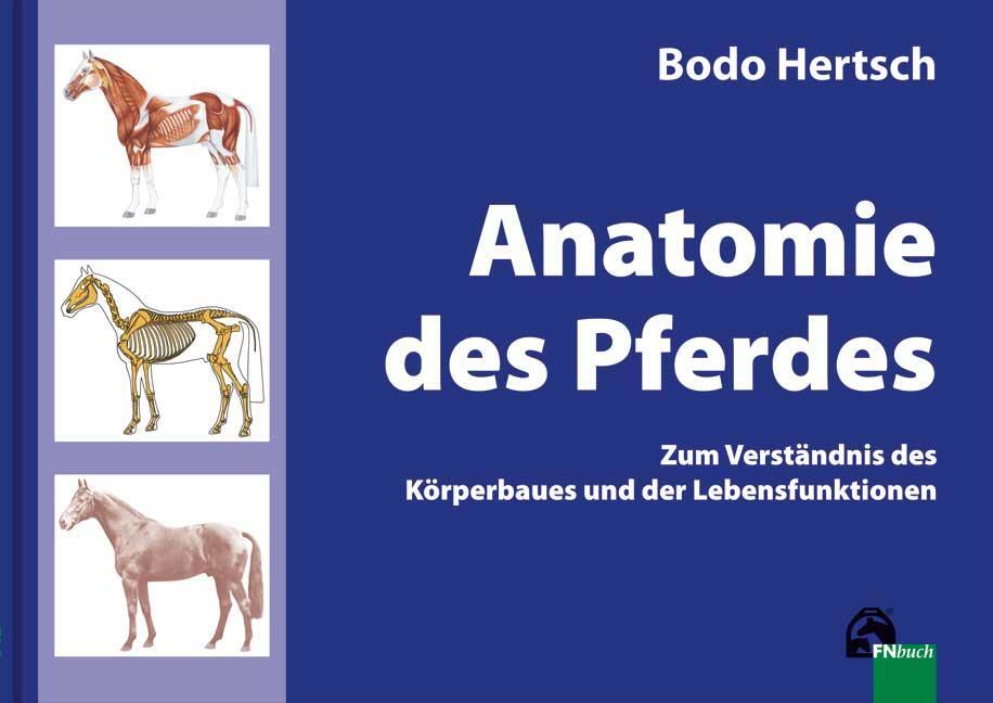 Cover: 9783885427575 | Anatomie des Pferdes | Bodo Hertsch | Buch | Deutsch | 2012