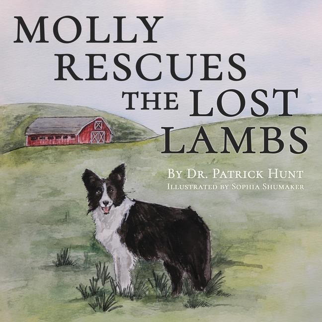 Cover: 9780578314280 | Molly Rescues the Lost Lambs | Patrick Hunt | Taschenbuch | Englisch