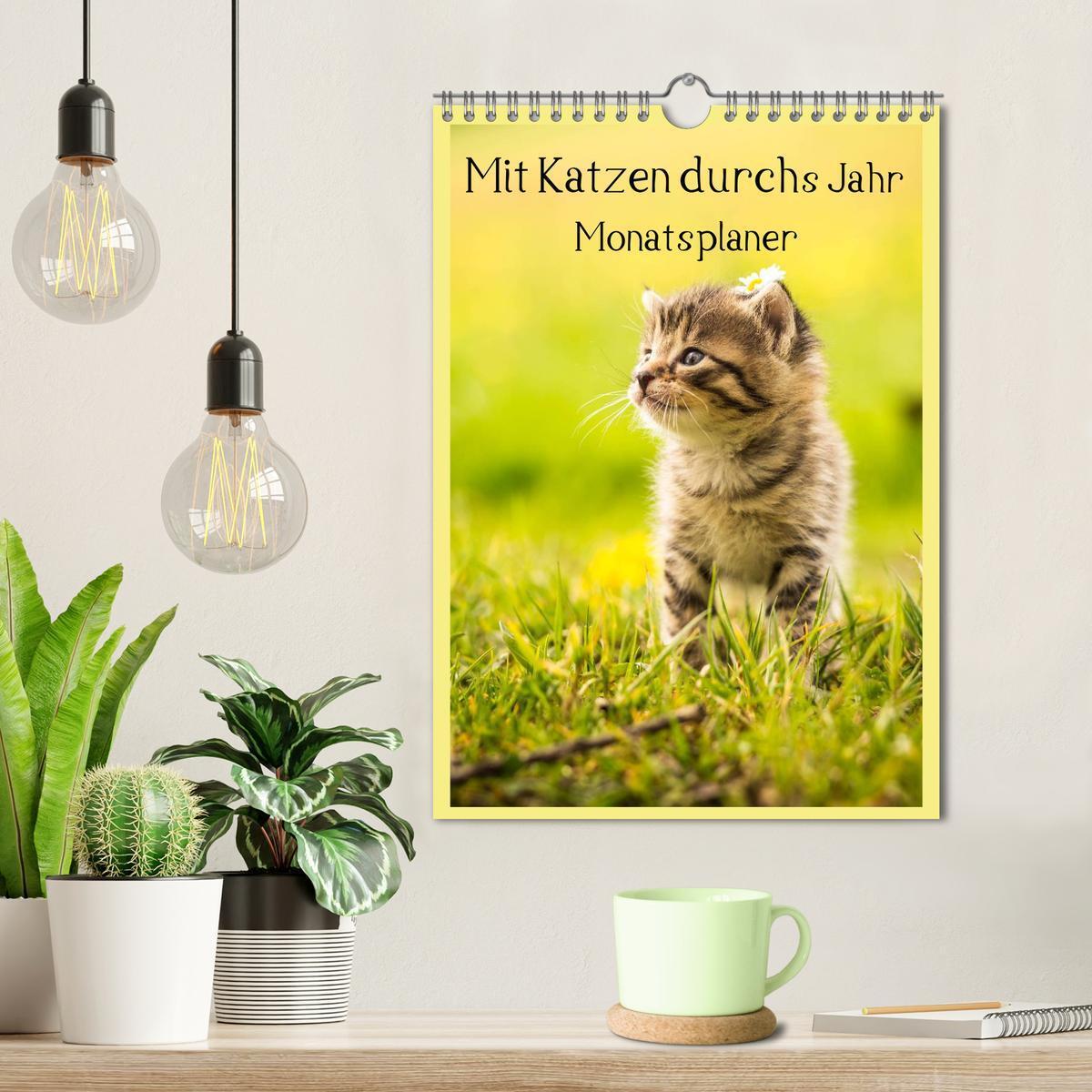 Bild: 9783457060391 | Mit Katzen durchs Jahr / Planer (Wandkalender 2025 DIN A4 hoch),...