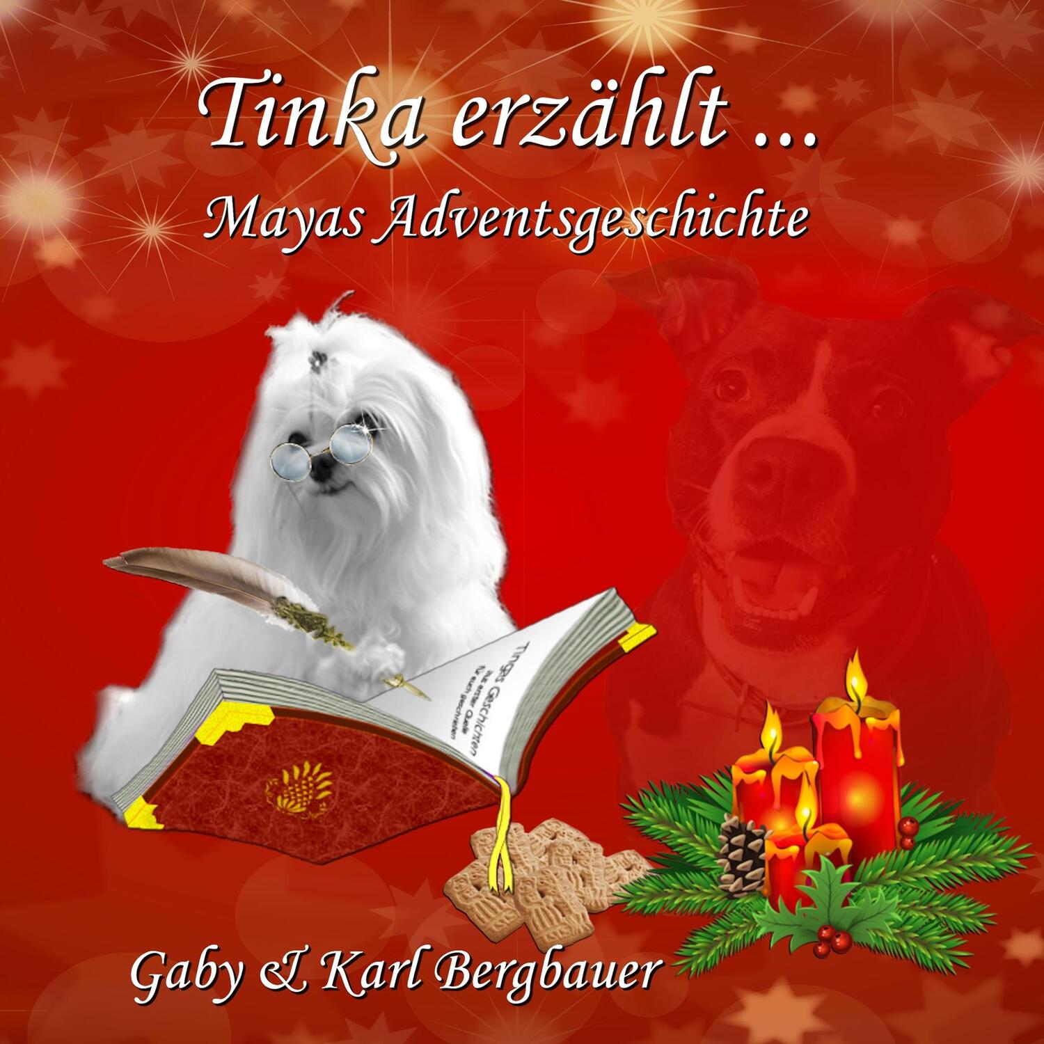 Cover: 9783748128007 | Tinka erzählt ... | Majas Adventsgeschichte | Gaby Bergbauer (u. a.)