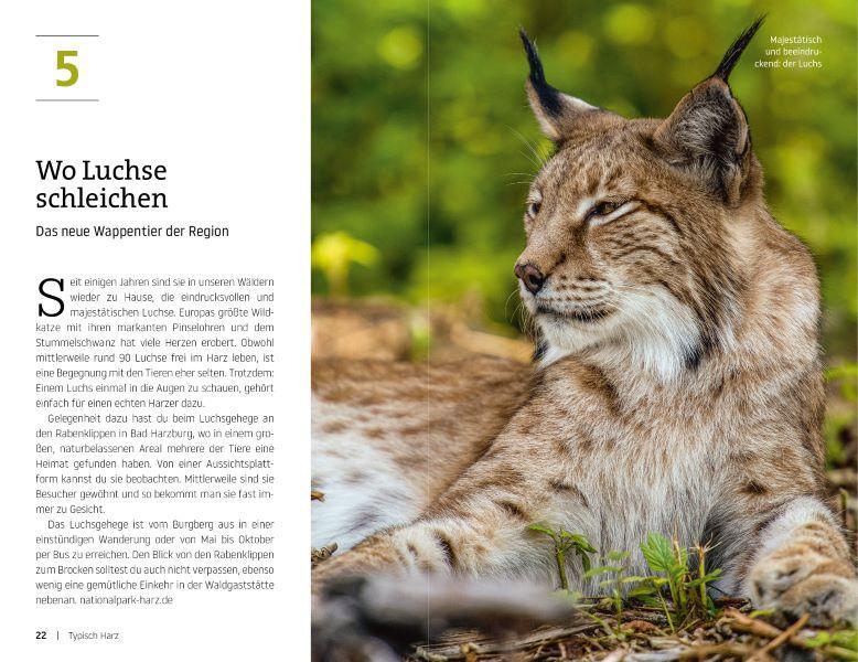 Bild: 9783734323218 | Die ultimative Bucket List für den Harz | Miriam Fuchs | Taschenbuch