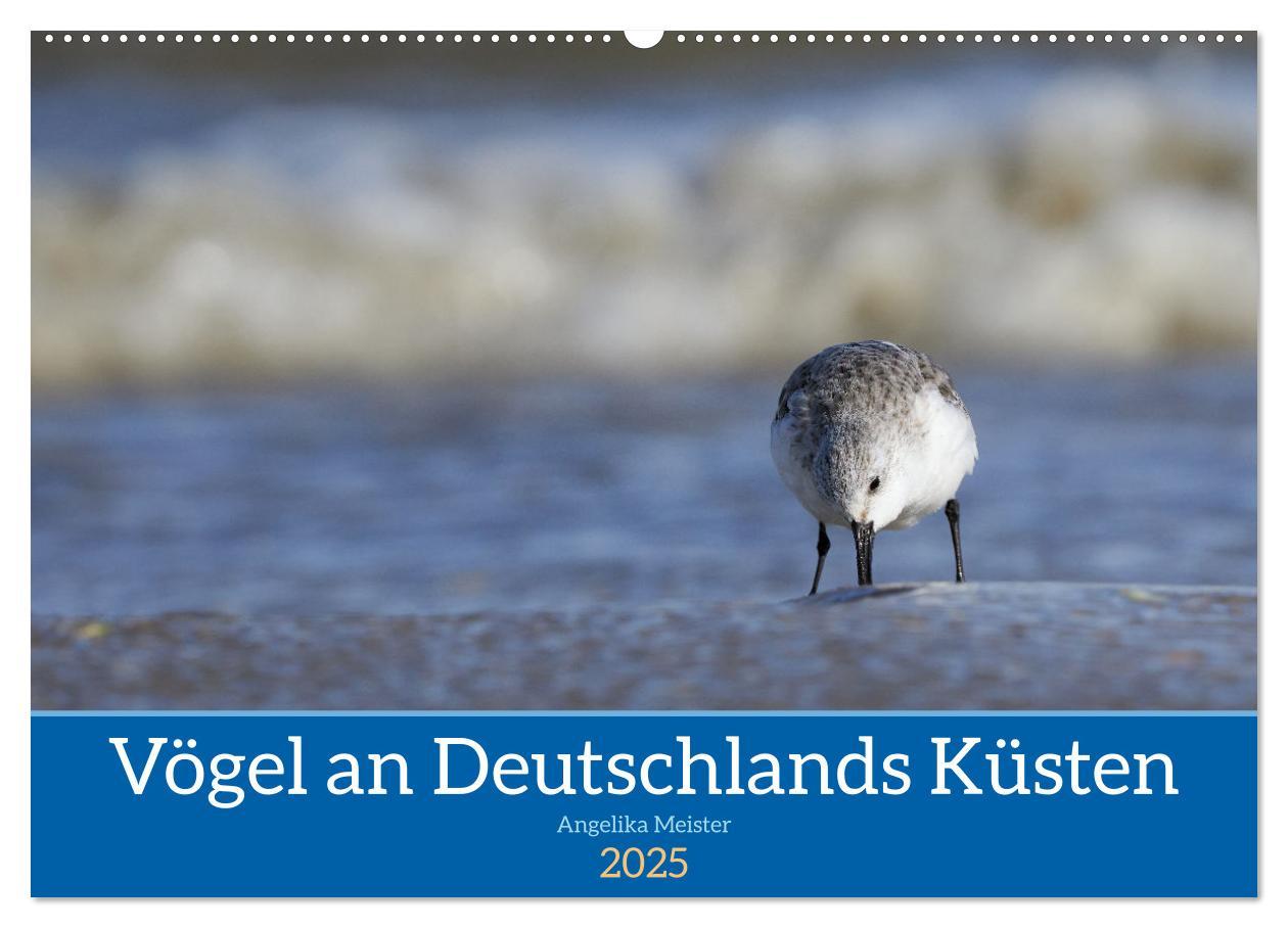 Cover: 9783435020027 | Vögel an Deutschlands Küsten (Wandkalender 2025 DIN A2 quer),...