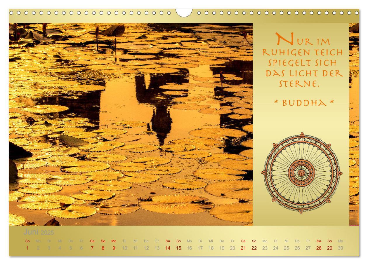 Bild: 9783435085880 | BUDDHA IM GLÜCK - Buddhistische Weisheiten (Wandkalender 2025 DIN...