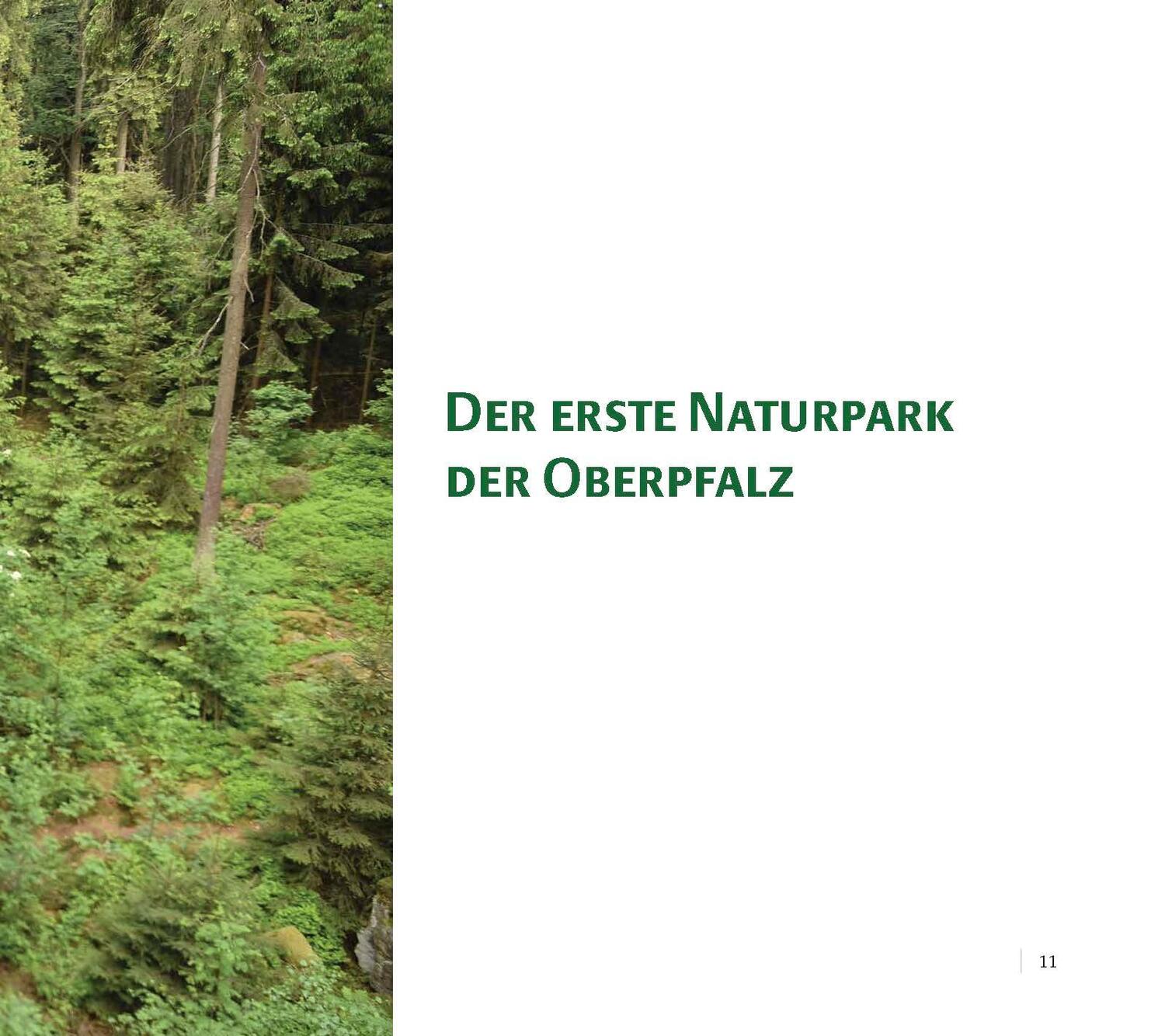 Bild: 9783955871048 | Steinreich - Naturpark Steinwald | Naturpark Steinwald | Benkhardt