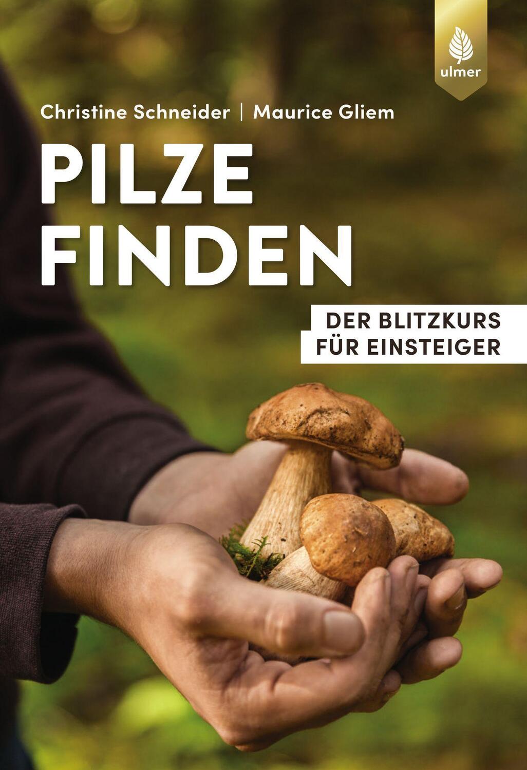 Cover: 9783818612924 | Pilze finden | Der Blitzkurs für Einsteiger | Schneider (u. a.) | Buch