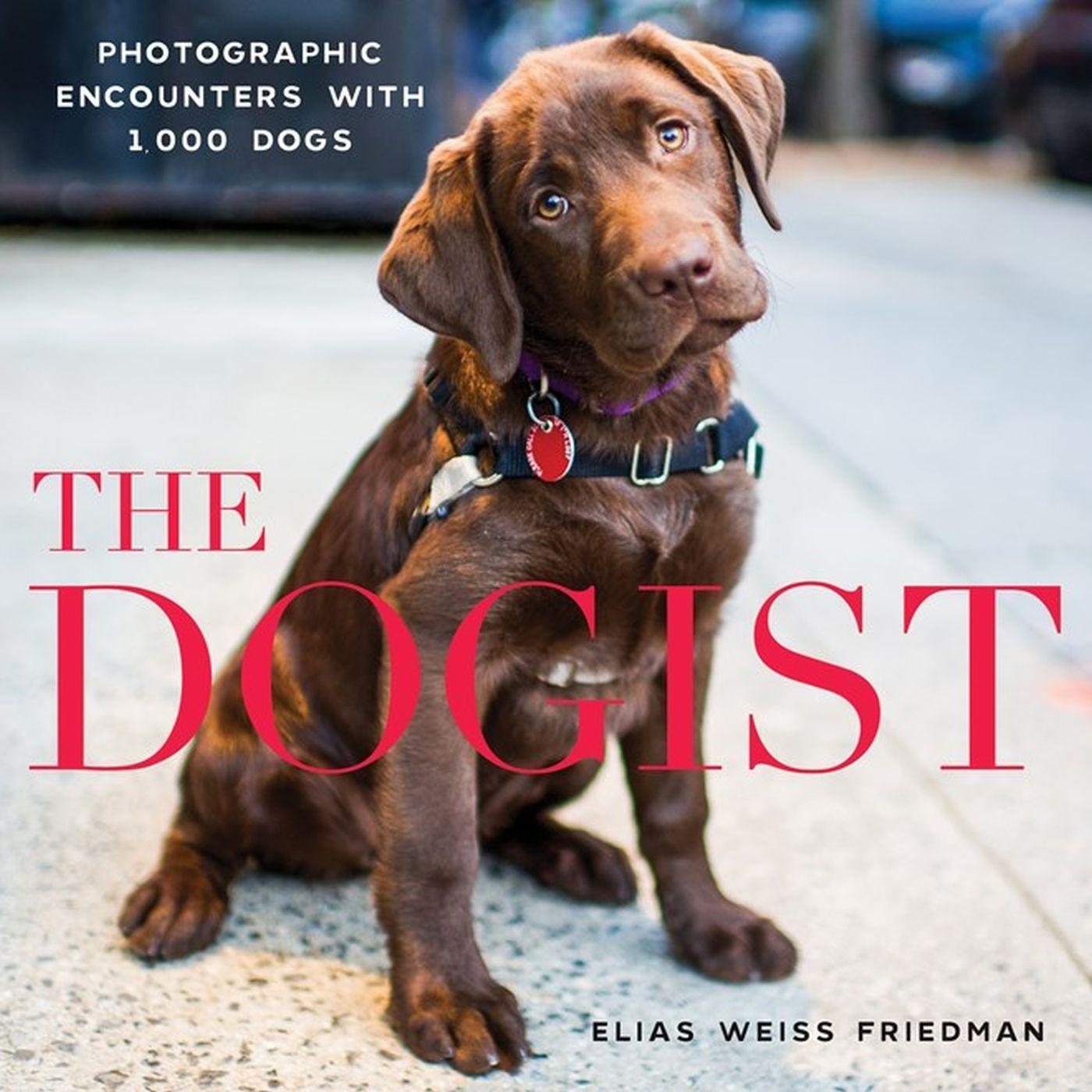Cover: 9781579656713 | The Dogist | Photographic Encounters with 1,000 Dogs | Friedman | Buch
