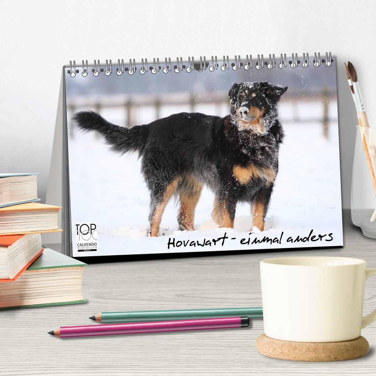 Bild: 9783435790074 | Hovawarte - einmal anders (Tischkalender 2025 DIN A5 quer),...