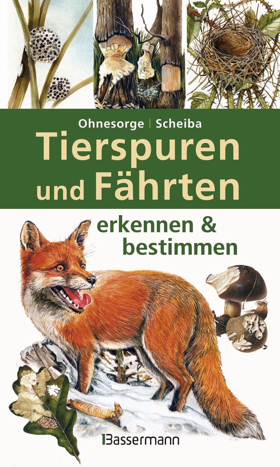 Cover: 9783809429982 | Tierspuren und Fährten erkennen & bestimmen | Gerd Ohnesorge (u. a.)
