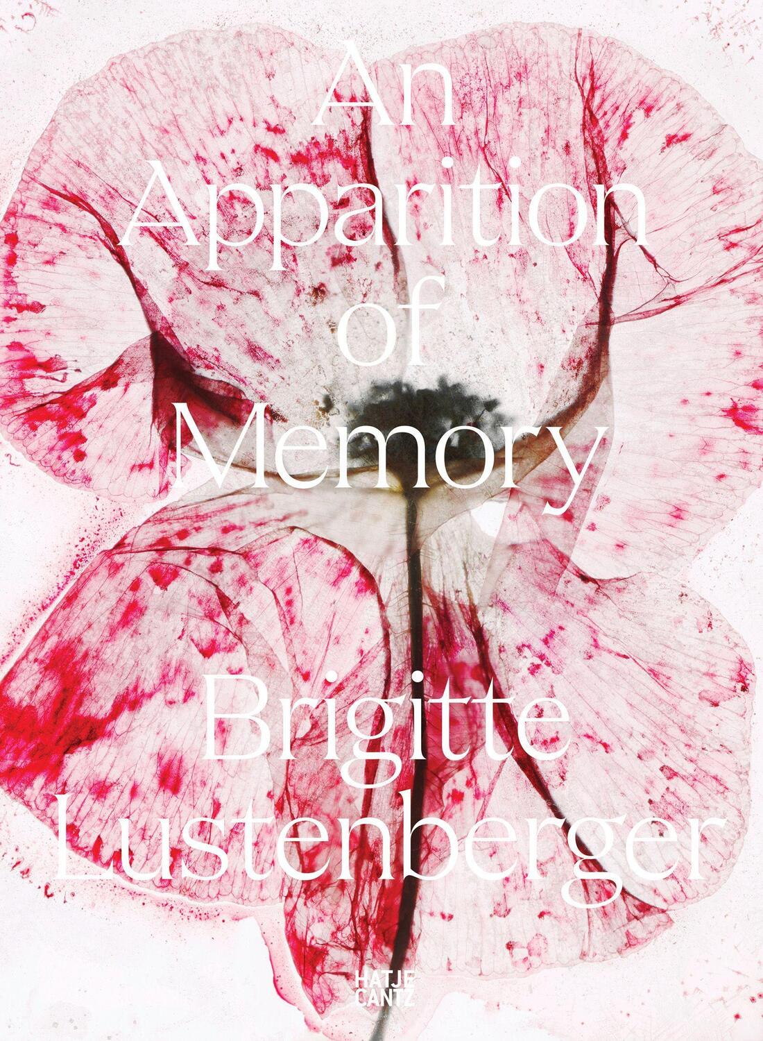 Cover: 9783775755481 | Brigitte Lustenberger | An Apparition of Memory | Nadine Barth (u. a.)