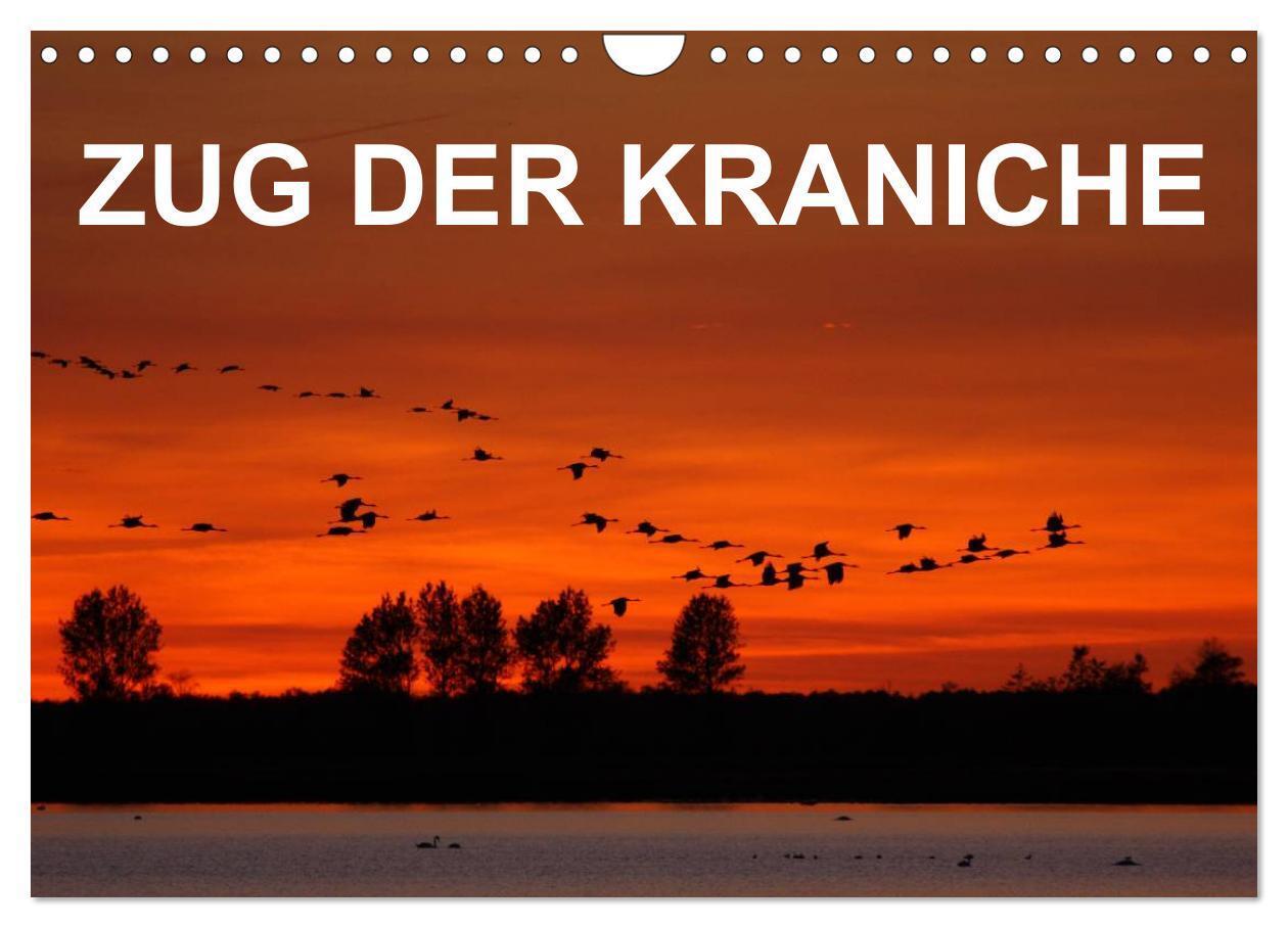 Cover: 9783675470859 | Zug der Kraniche (Wandkalender 2024 DIN A4 quer), CALVENDO...