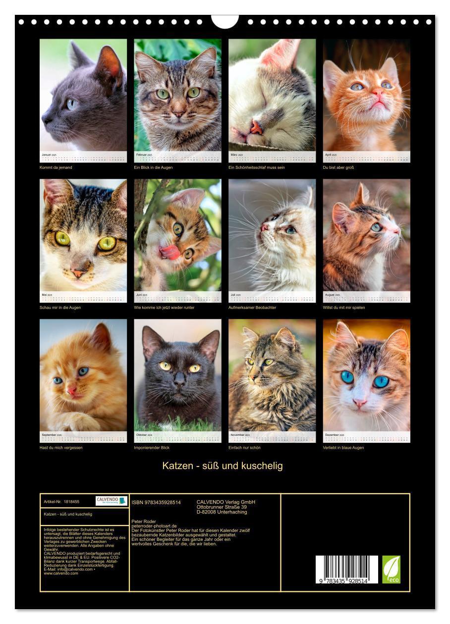 Bild: 9783435928514 | Katzen - süß und kuschelig (Wandkalender 2025 DIN A3 hoch),...