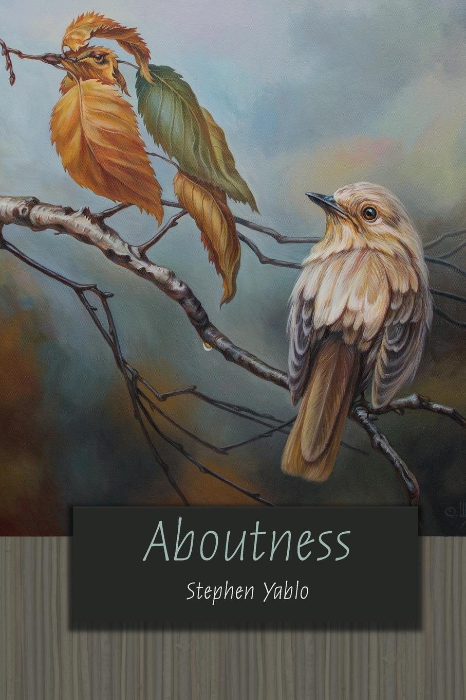 Cover: 9780691173658 | Aboutness | Stephen Yablo | Taschenbuch | Paperback | Englisch | 2016
