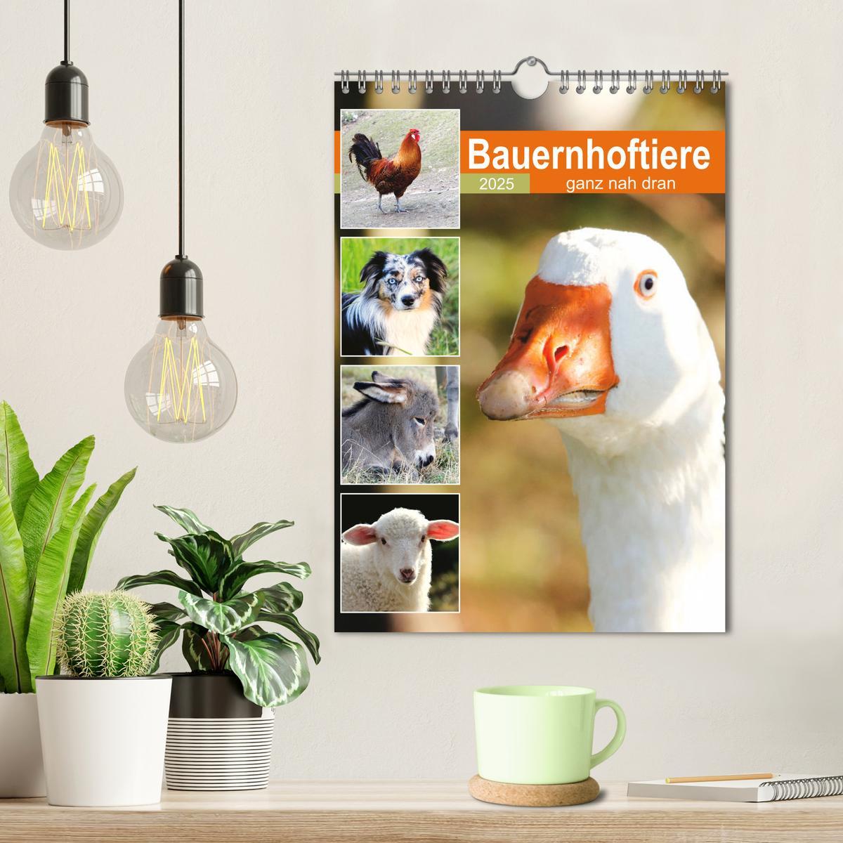 Bild: 9783435928521 | Bauernhoftiere, ganz nah dran (Wandkalender 2025 DIN A4 hoch),...