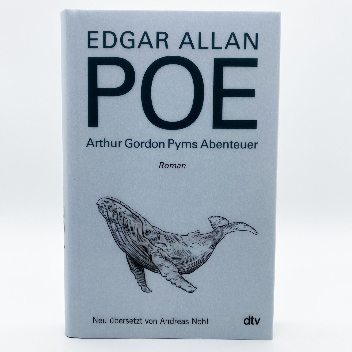 Bild: 9783423290302 | Arthur Gordon Pyms Abenteuer | Roman | Edgar Allan Poe | Buch | 256 S.