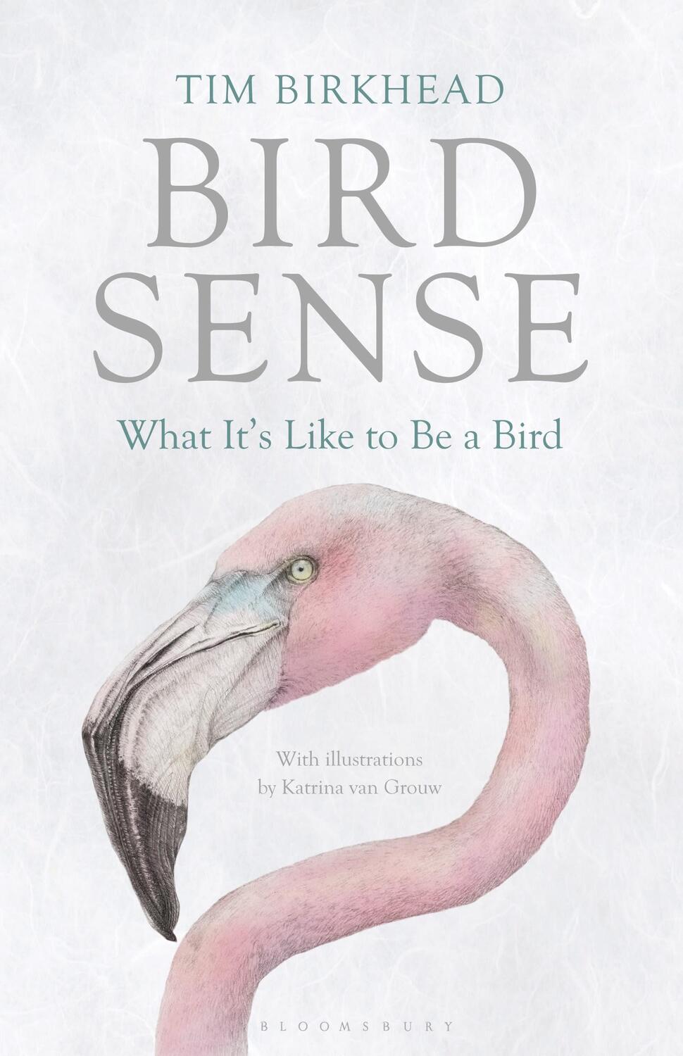 Cover: 9781408830543 | Bird Sense | What It's Like to Be a Bird | Tim Birkhead | Taschenbuch